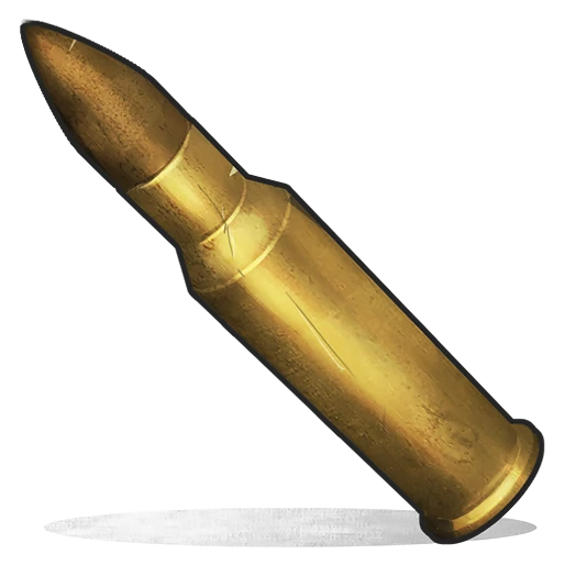 5.56 Rifle Ammo
