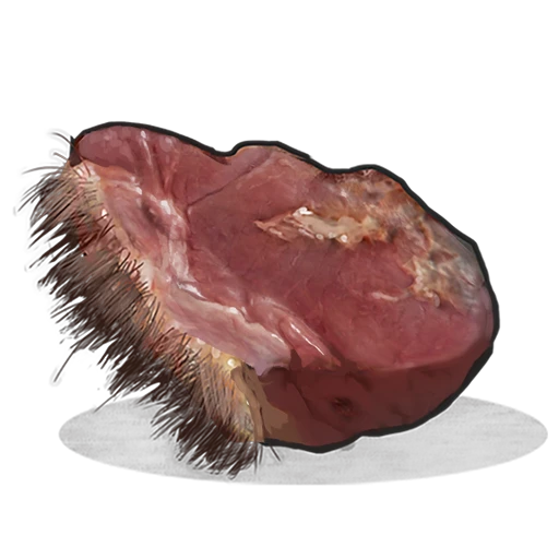 Raw Bear Meat