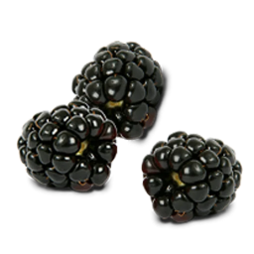 Black Raspberries
