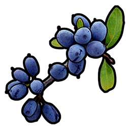 Blue Berry