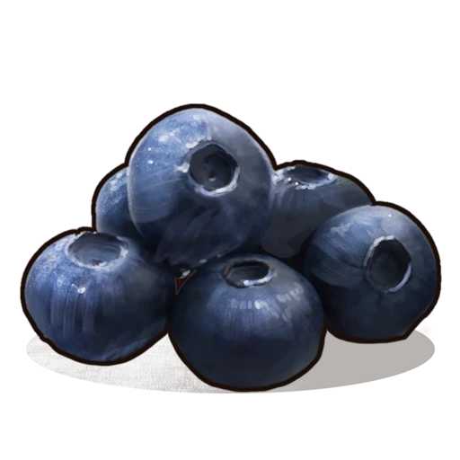 Blueberries