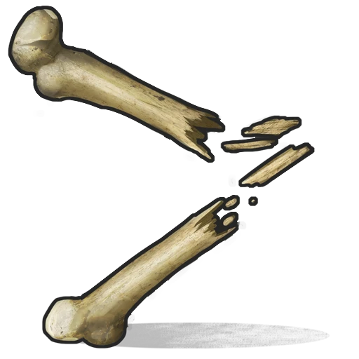 Bone Fragments