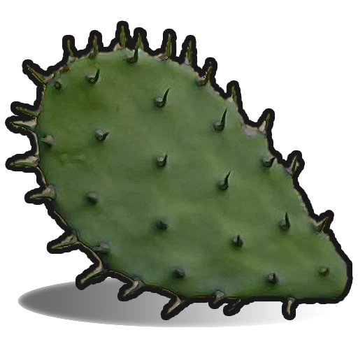 Cactus Flesh