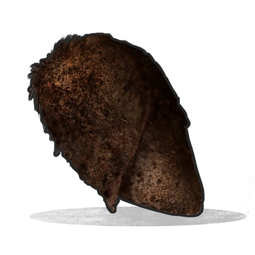 Burnt Chicken