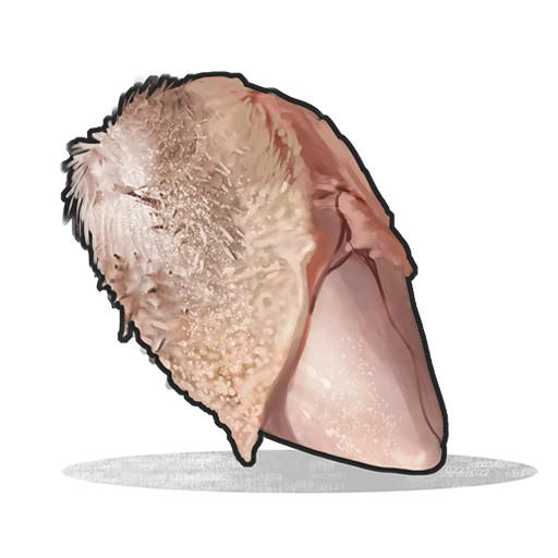 Raw Chicken Breast