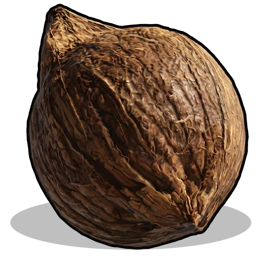 Coconut
