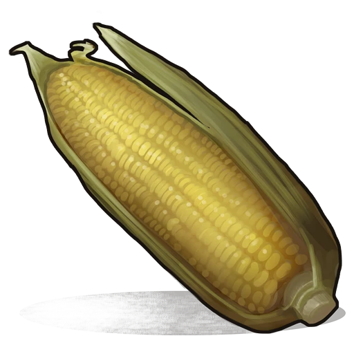 Corn