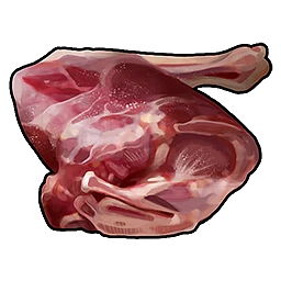 Raw Deer Meat