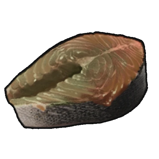Spoiled Fish Meat
