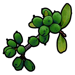 Green Berry