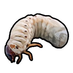 Grub
