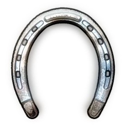 High Quality Horse Shoes