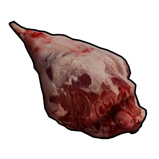 Raw Horse Meat