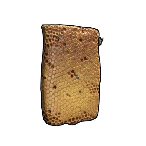 Beehive Nucleus