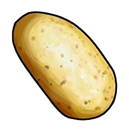 Potato