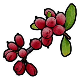 Red Berry