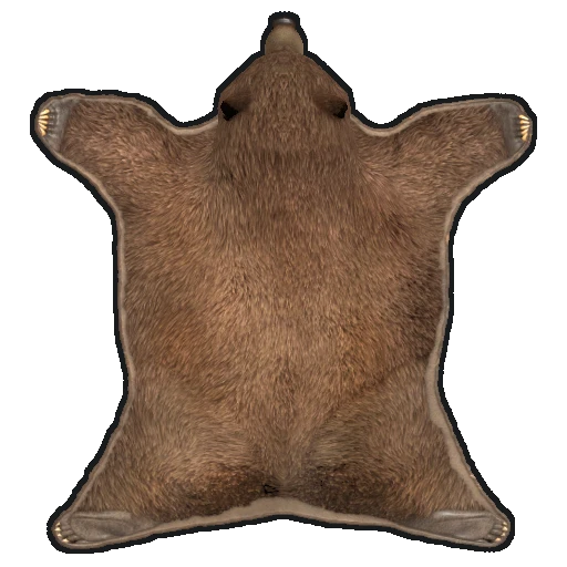 Bear Skin Rug