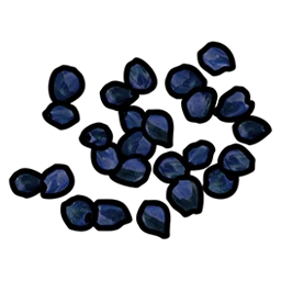 Blue Berry Seed