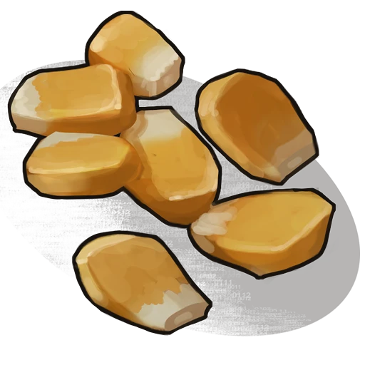 Corn Seed