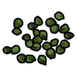 Green Berry Seed