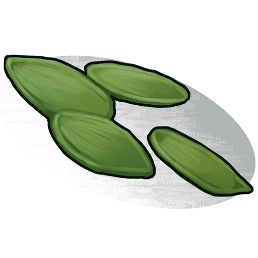 Hemp Seed