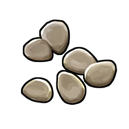 Potato Seed