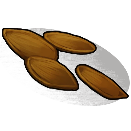 Pumpkin Seed