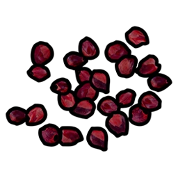 Red Berry Seed