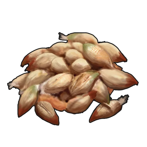 Rose Seed