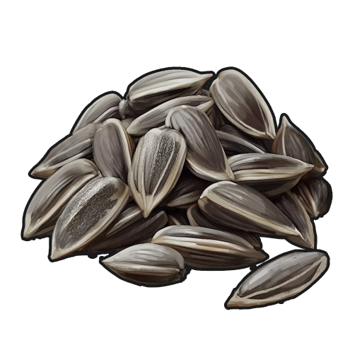 Sunflower Seed