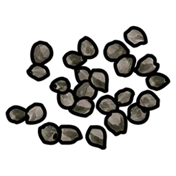 White Berry Seed