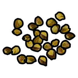 Yellow Berry Seed