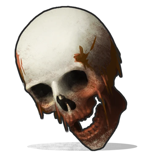Human Skull