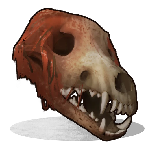 Wolf Skull