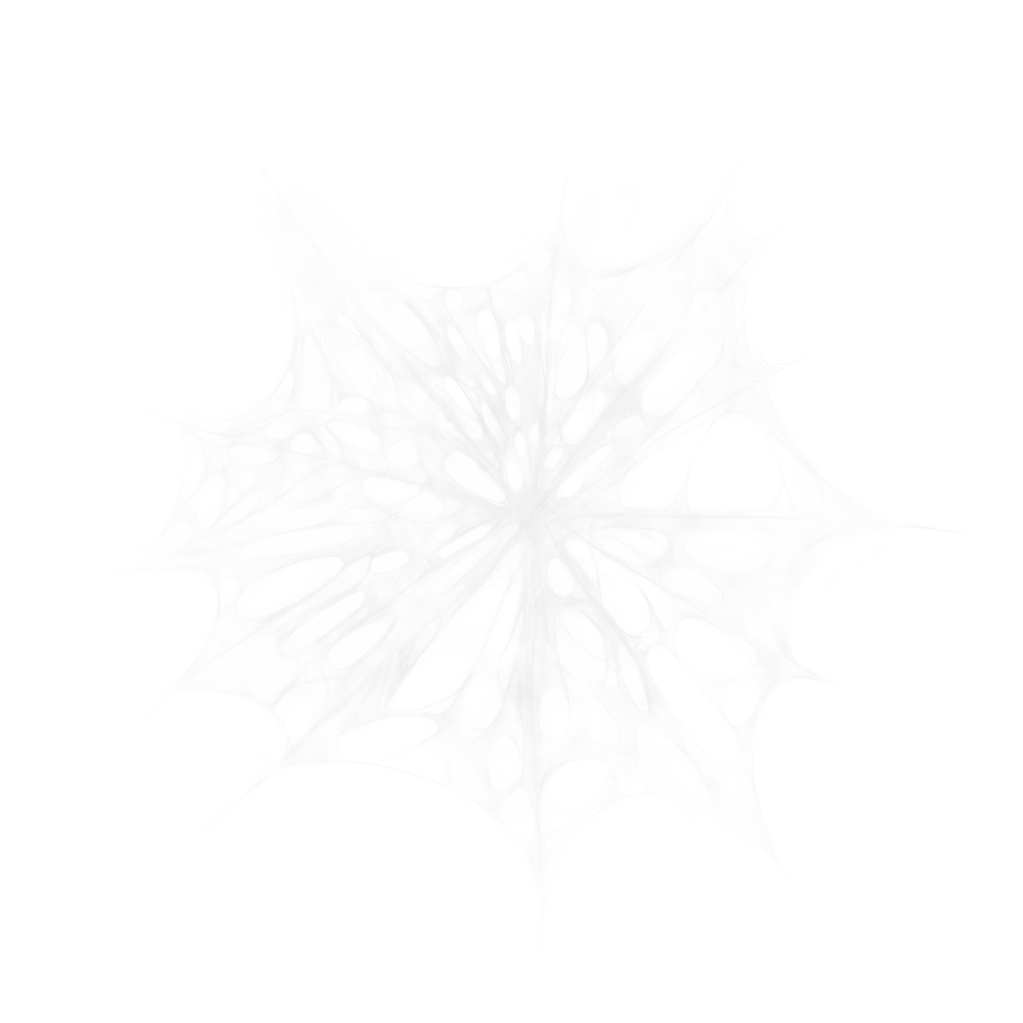 Spider Webs