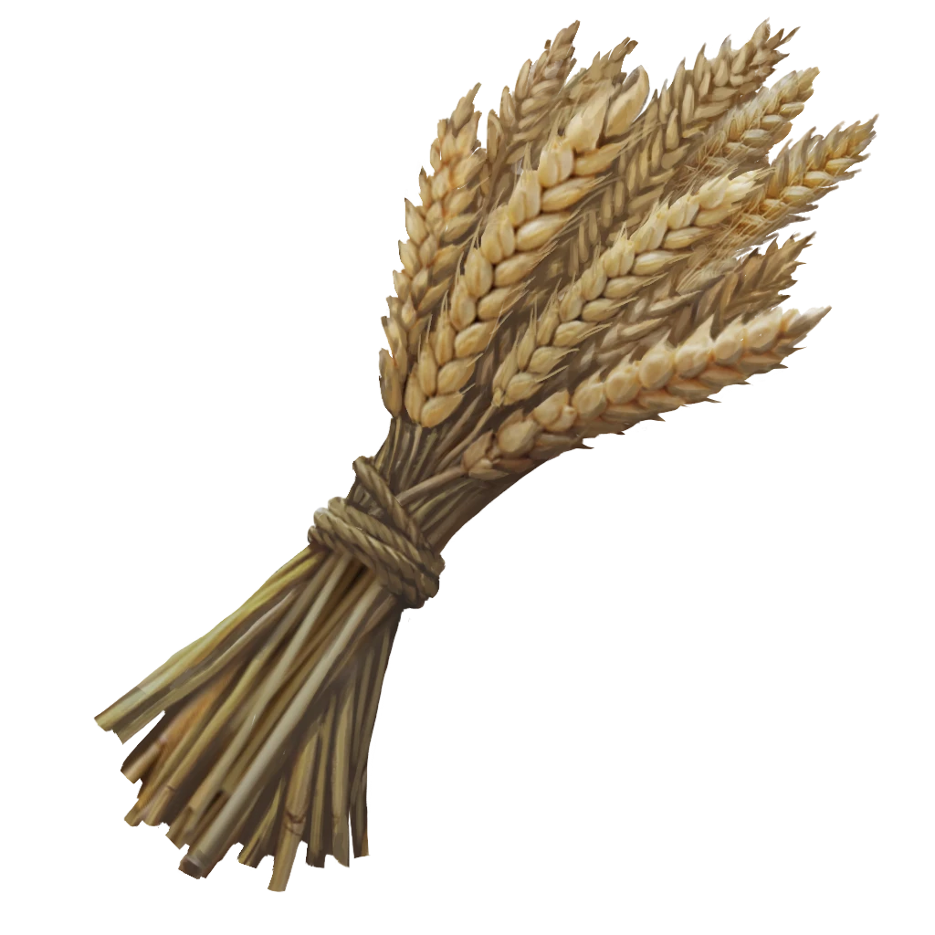 Wheat